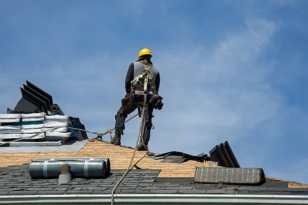 Professional Metal Roofing technician working in Lowgap, NC